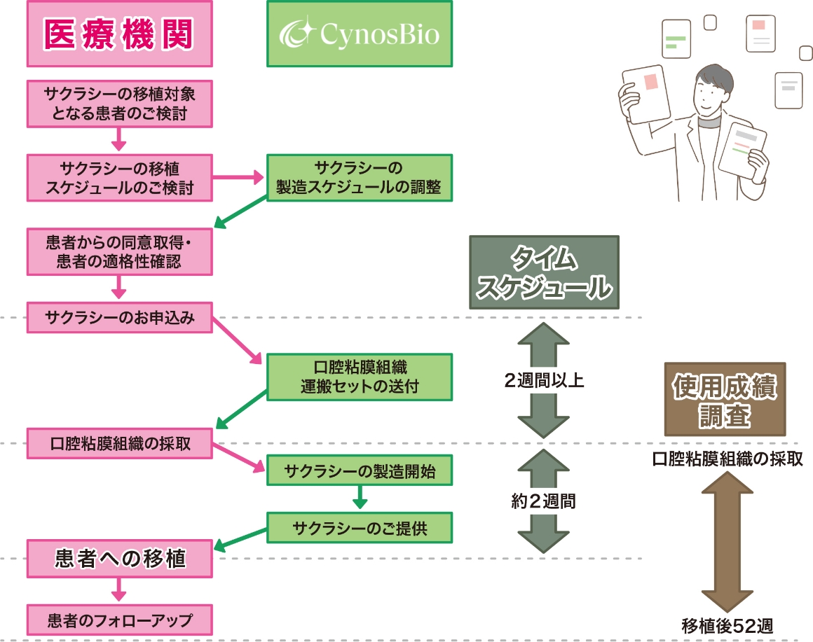 サクラシーご検討から移植までの流れ