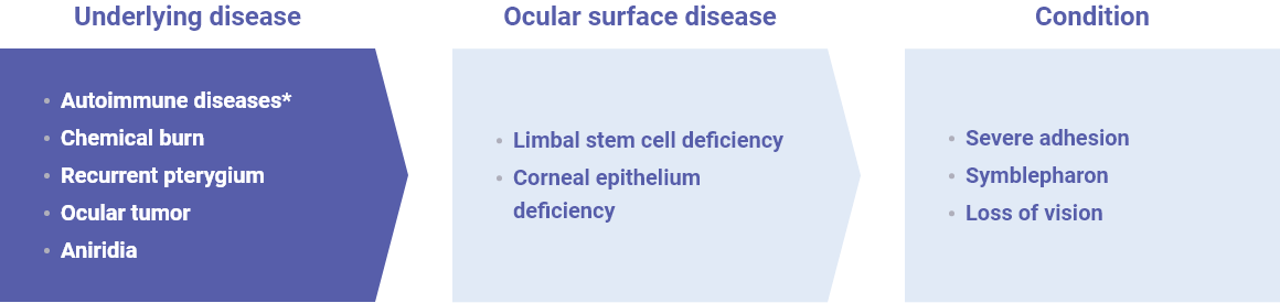 SJS (Stevens-Johnson syndrome), OCP (Ocular cicatricial pemphigoid), GVHD (Graft versus host disease), etc