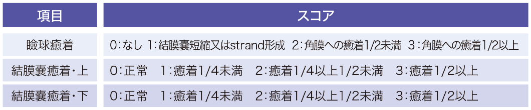 瞼球癒着及び結膜嚢癒着(上・下)のスコアの合計