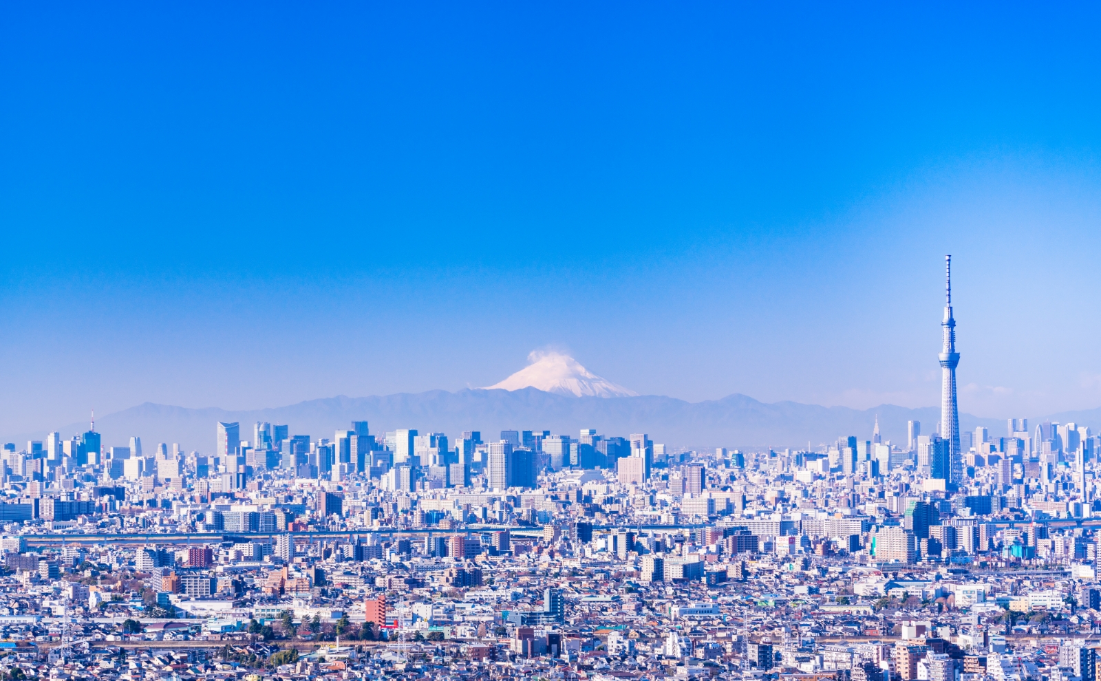 高層ビルと自然が調和した美しい景観が広がる。